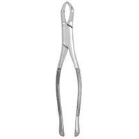 Extracting Forceps #88L