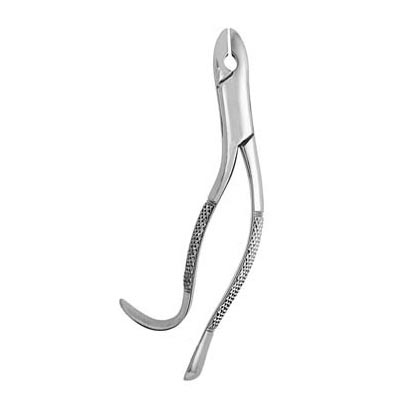 Extracting Forceps #99A