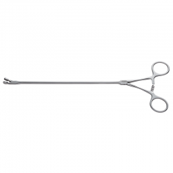 D'Amico Biopsy Forceps