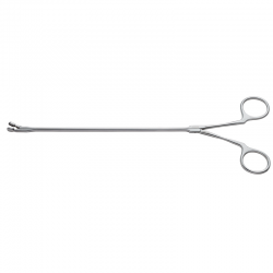 D'Amico Biopsy Forceps