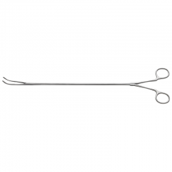 Gonzalez-Rivas Dissector