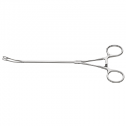 Foerster Lung Grasping Clamp