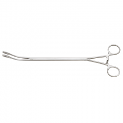 Foerster Lung Grasping Clamp