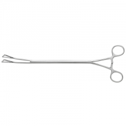 Duval Lung Grasping Clamp