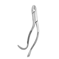 Extracting Forceps #99A